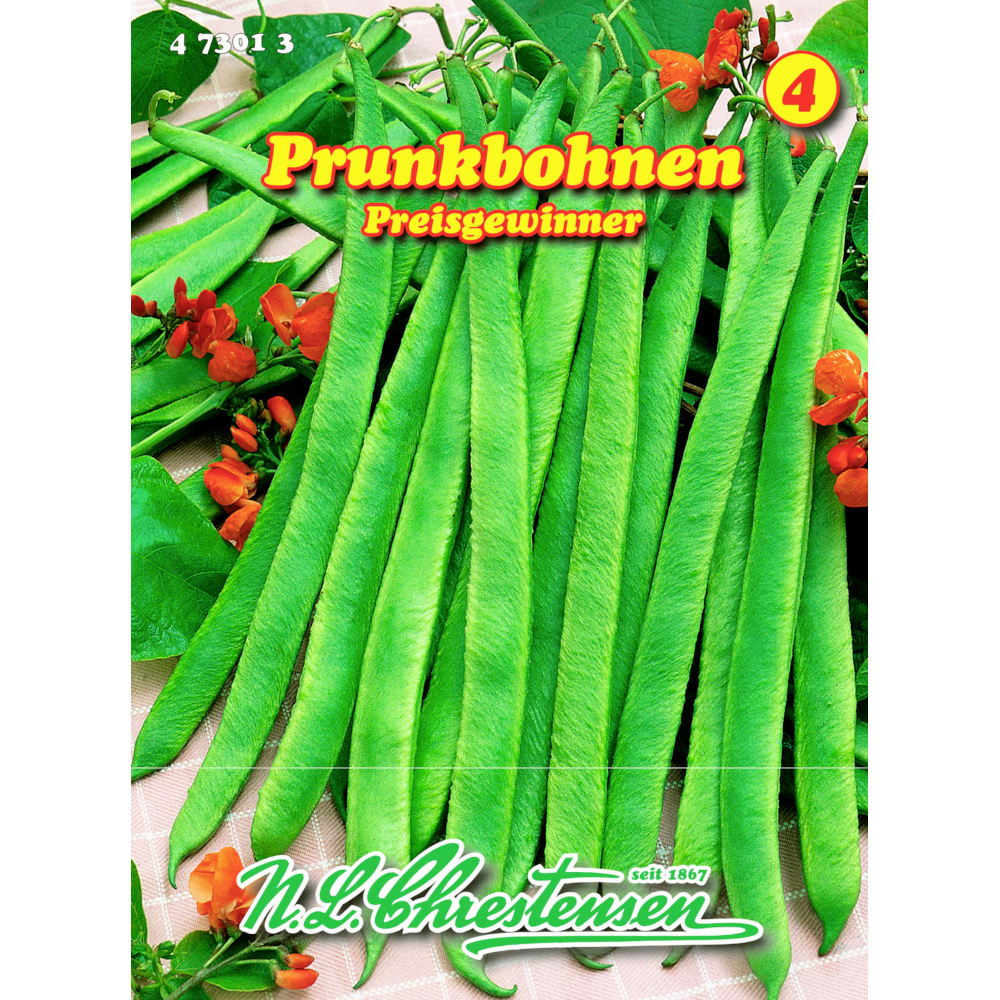 Saatgut Prunkbohne ca. 5&ndash;6 Stangen image number 0