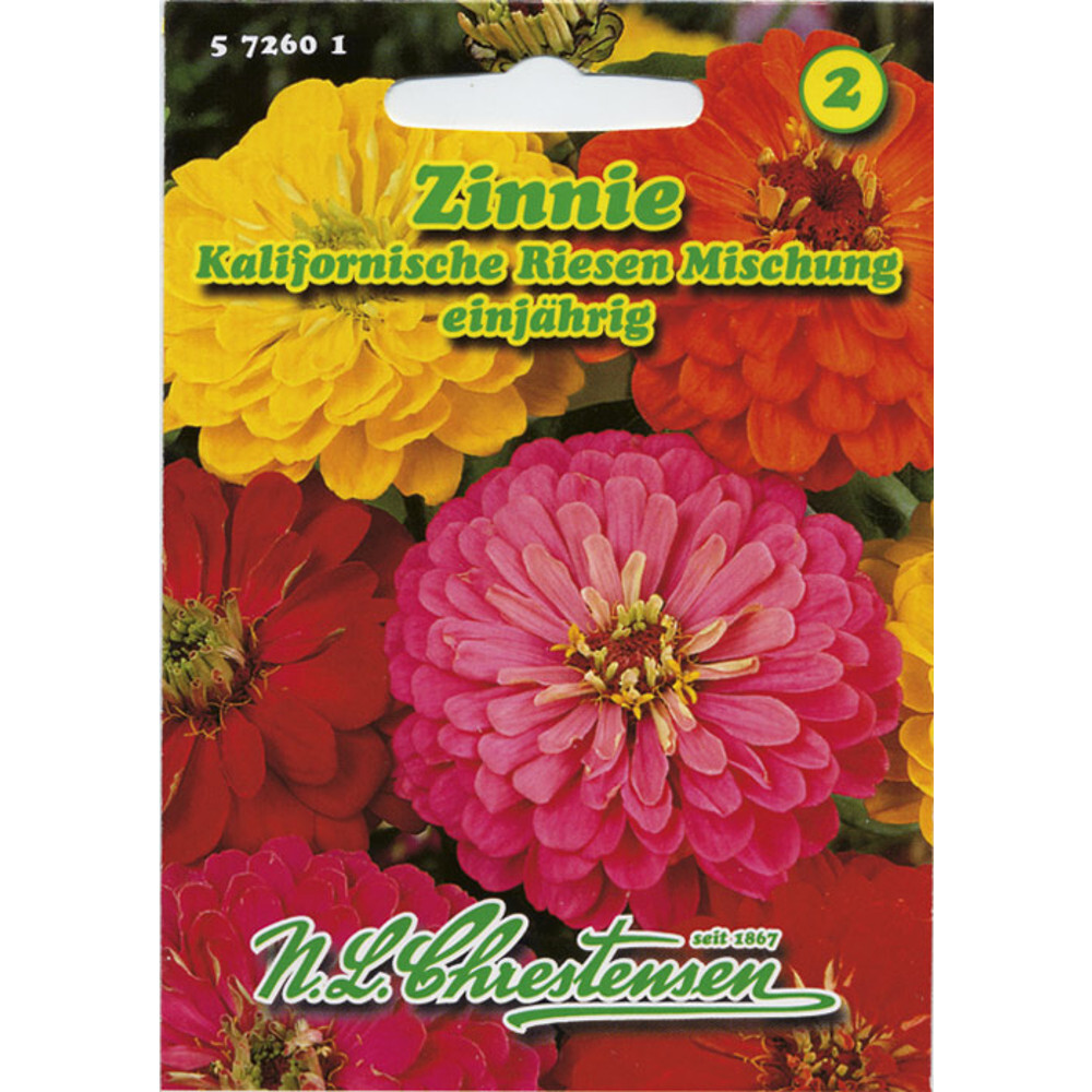 Saatgut Zinnie kalifornische Riesen Mix ca. 70 Pflanzen image number 0