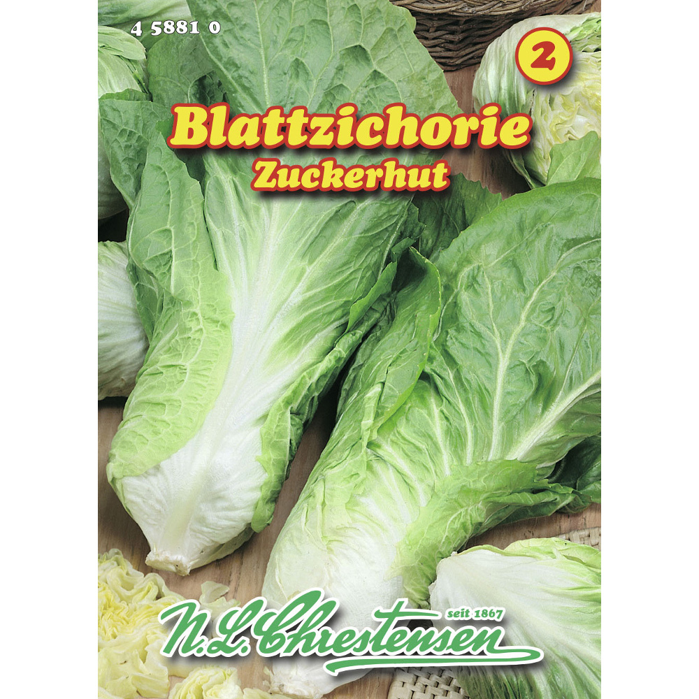 Saatgut Blattzichorie ca. 8-10 laufende Meter