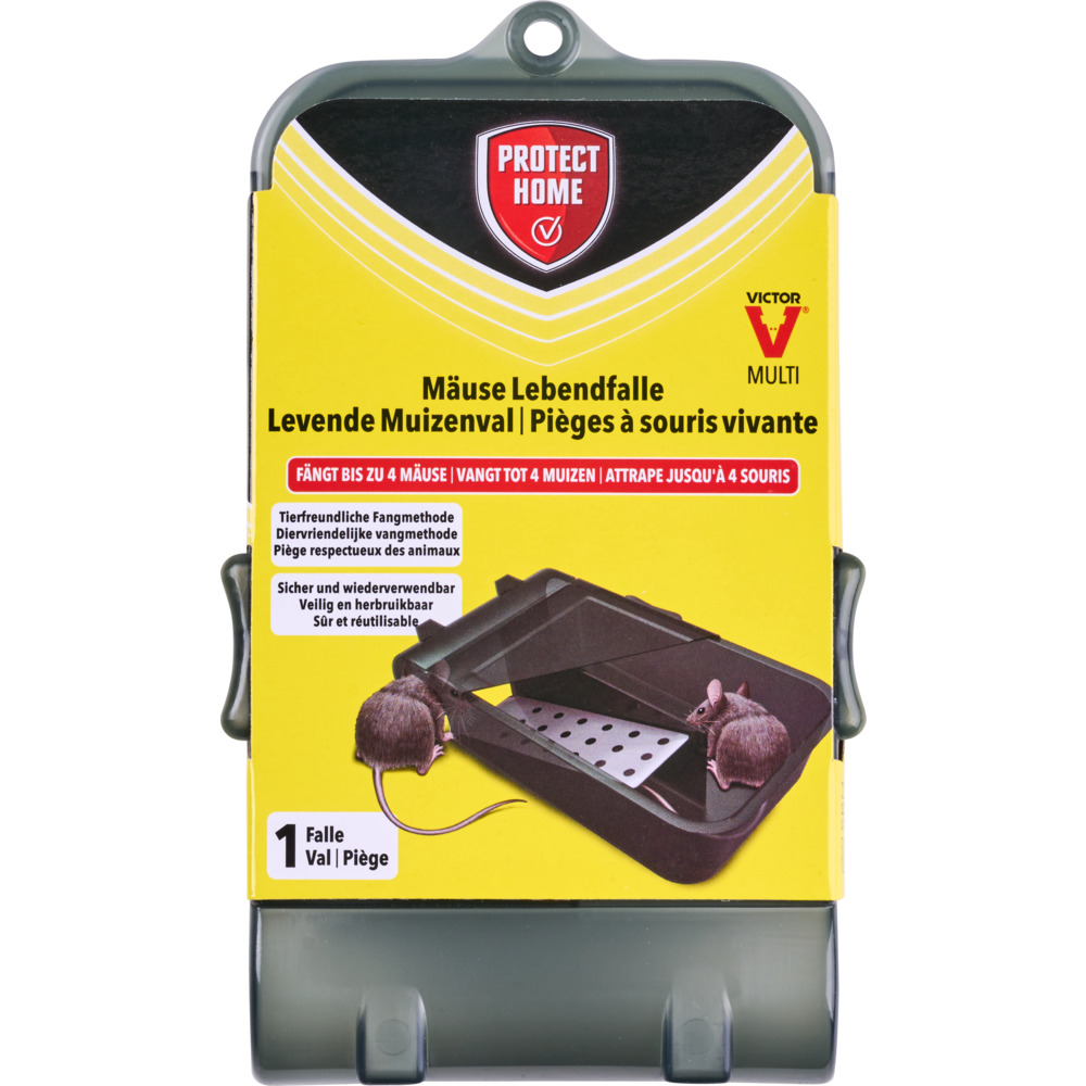 Protect Home Lebendfalle aus Kunststoff in Schwarz f&uuml;r M&auml;use image number 4