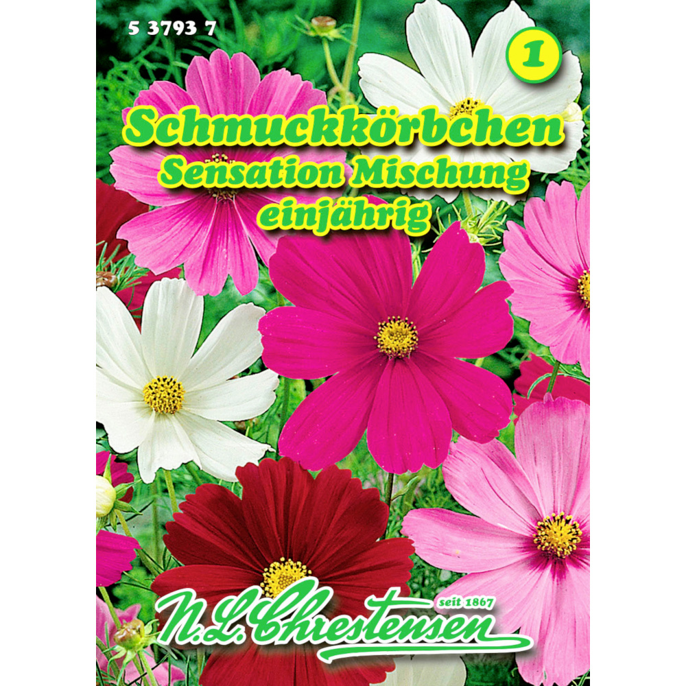 Saatgut Cosmos Sensations-Mix ca. 40 Pflanzen image number 0