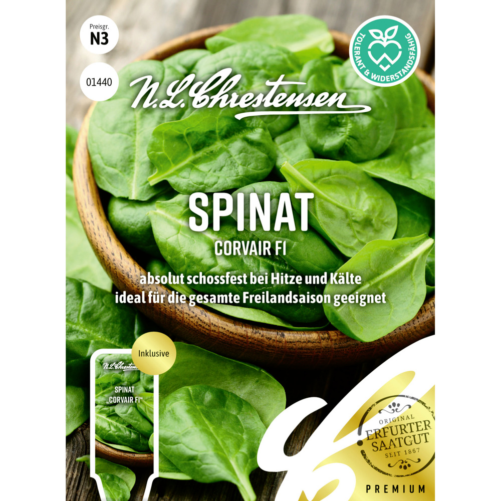 Saatgut Spinat Corvair F1