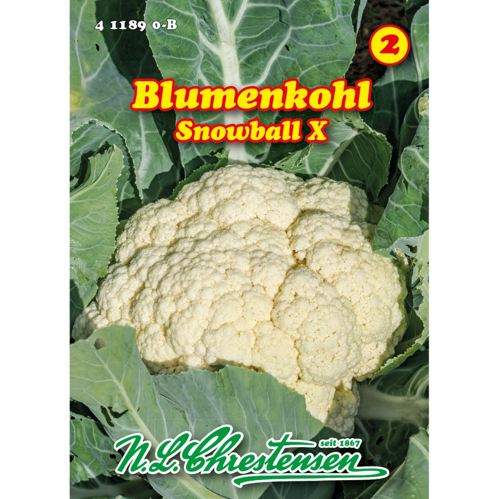 Saatgut Blumenkohl Snowball für ca. 60 Pflanzen image number 0