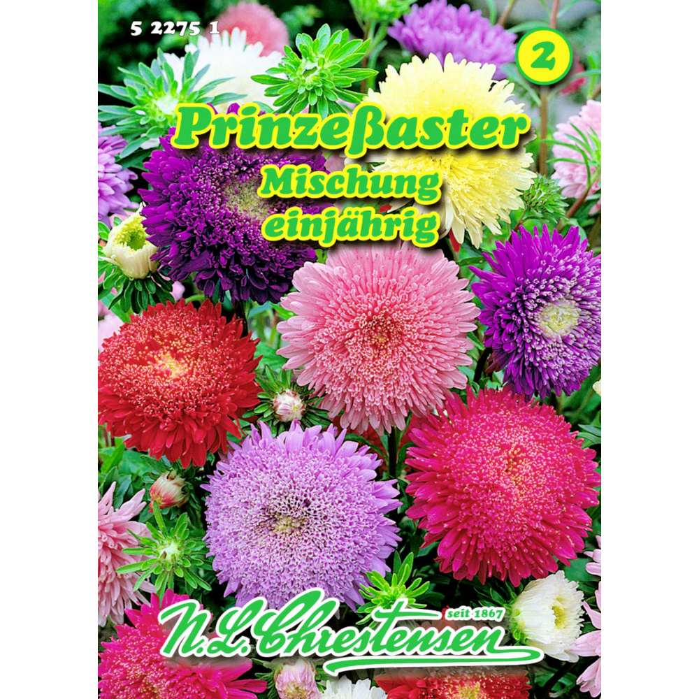 Saatgut Prinze&szlig;aster Mix ca. 80 Pflanzen bunt image number 0