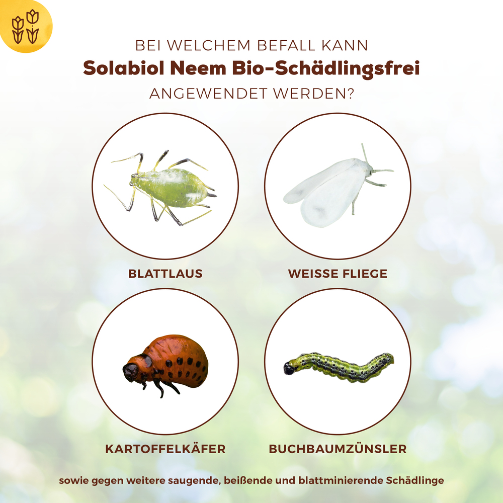 Bio Schädlingsfrei Neem image number 2