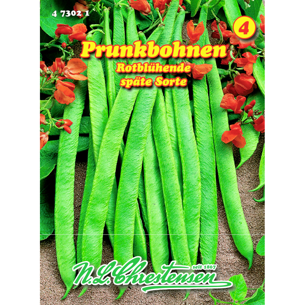 Saatgut Prunkbohnen Rotblühende ca. 5–6 Stangen image number 0