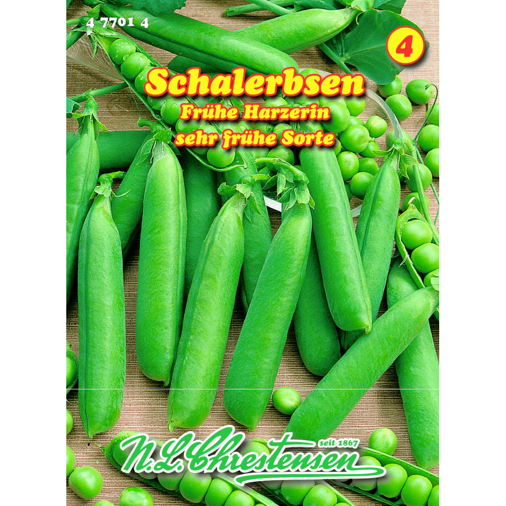 Saatgut Schalerbse Frühe Harzerin ca. 20 m² image number 0