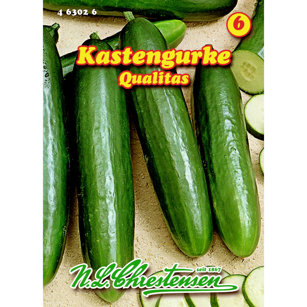 Saatgut Kastengurke Qualitas ca. 8-9 Pflanzen image number 0