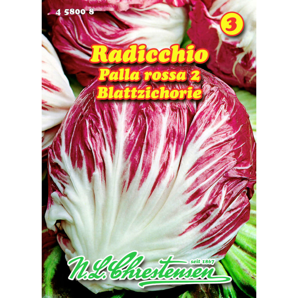 Saatgut Radicchio Palla rossa 2 ca. 40 Pflanzen image number 0