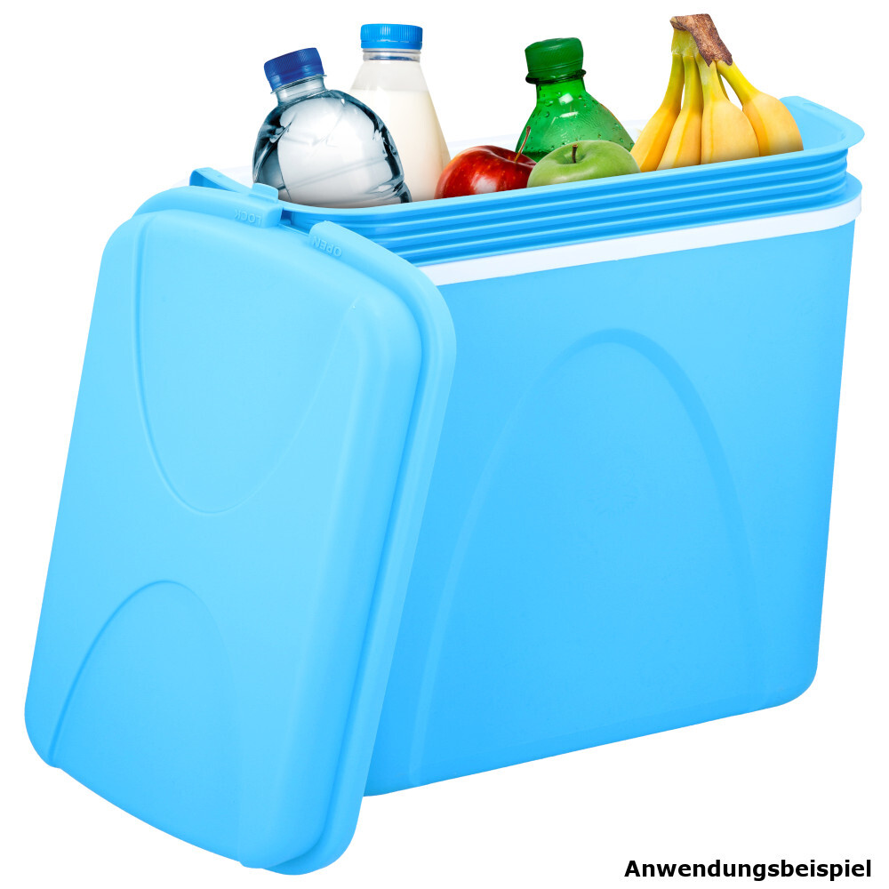 Kühlbox 24 Liter aus Kunststoff mit Tragegriff image number 1