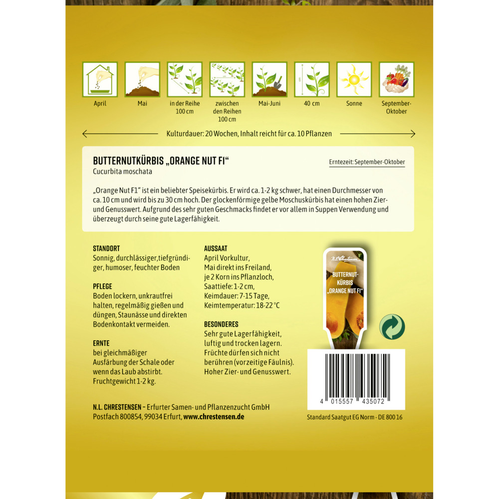 Saatgut Butternutkürbis Orange Nut F1 image number 1
