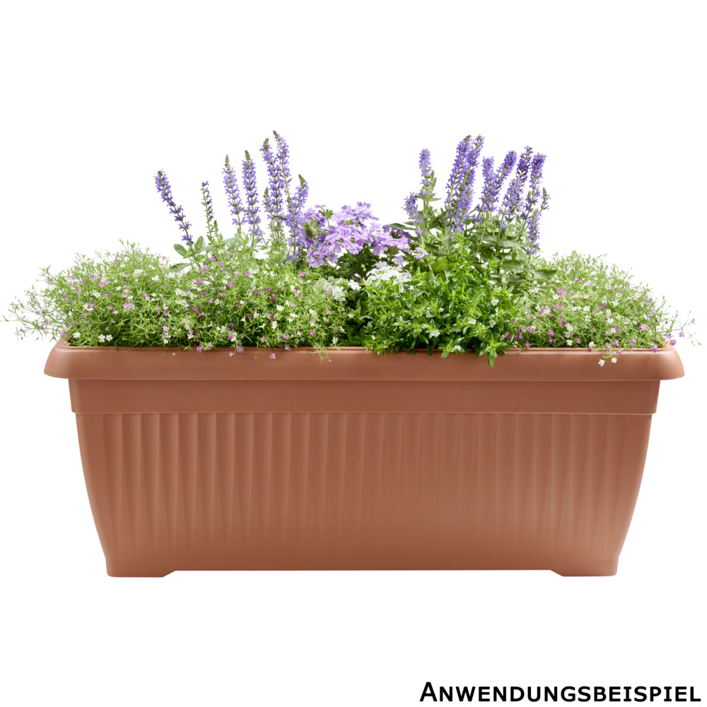 Blumenkasten Terra 80 cm terracotta image number 3