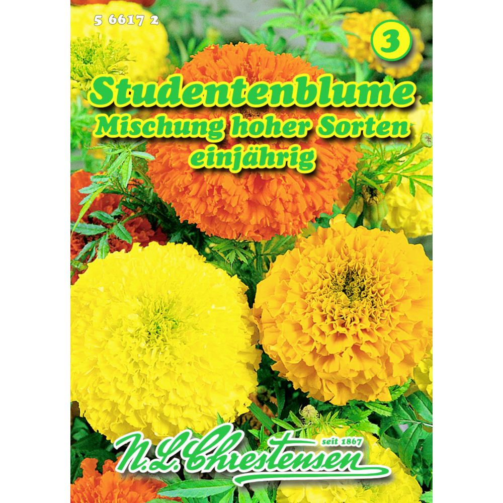 Saatgut Studentenblume Tagetes Mix ca. 60 Pflanzen image number 0