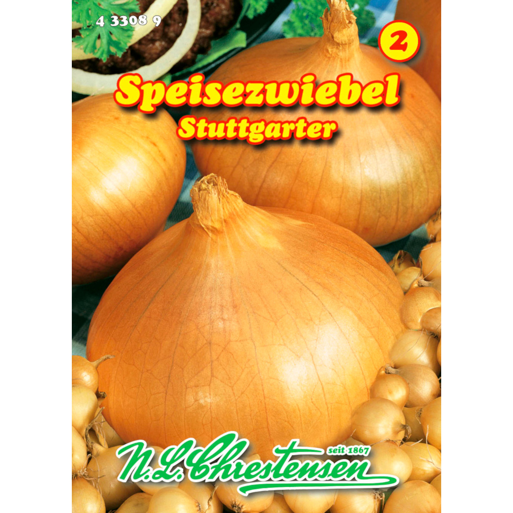 Saatgut Zwiebel Stuttgarter Riesen ca. 25 m²