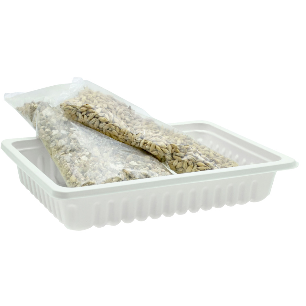 Katzengras mit Schale zum Selbstziehen