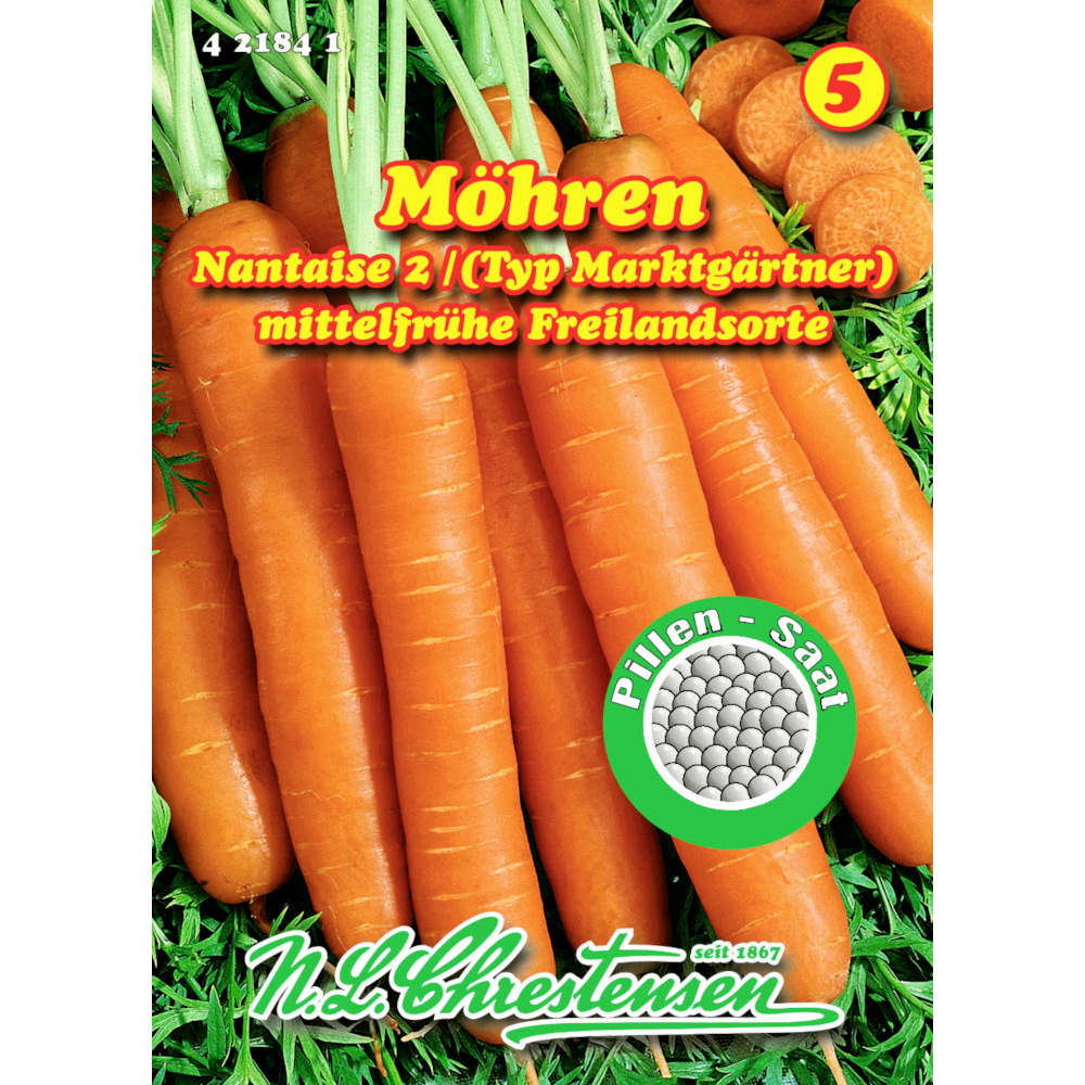 Saatgut Speisem&ouml;hre Nantaise ca. 100 Pflanzen image number 0