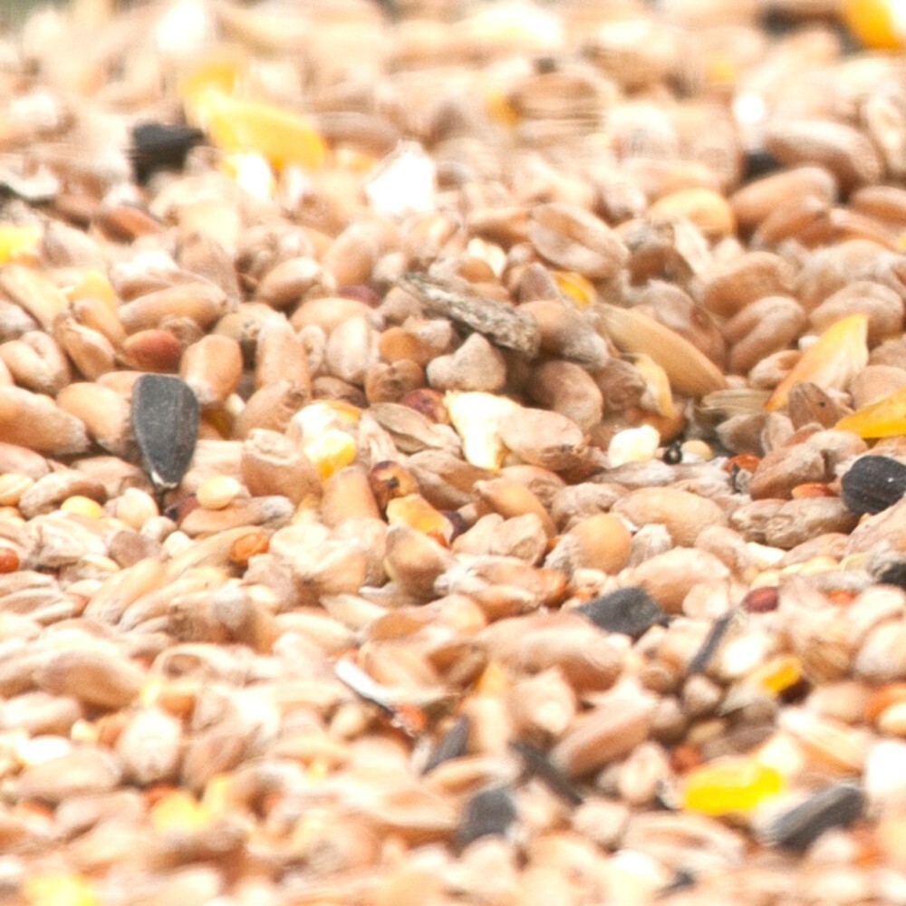 Vogelfutter 1 kg spezielles Fett- und Weichfutter image number 1