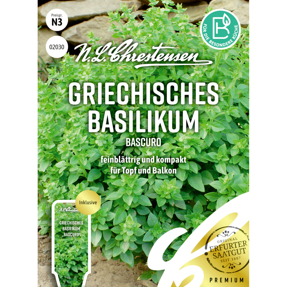 Saatgut Griechisches Basilikum Bascuro