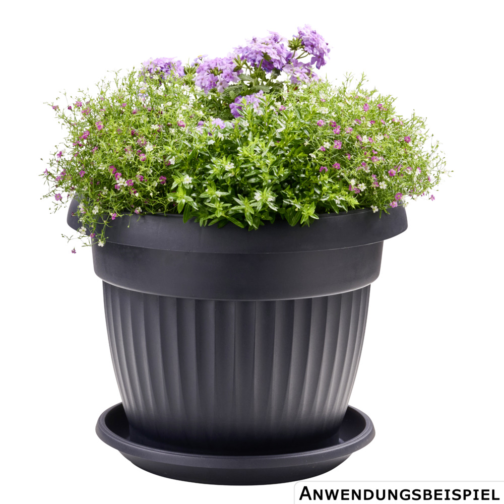Prosperplast Untersetzer Terra rund Ø 54 cm in Anthrazit image number 1