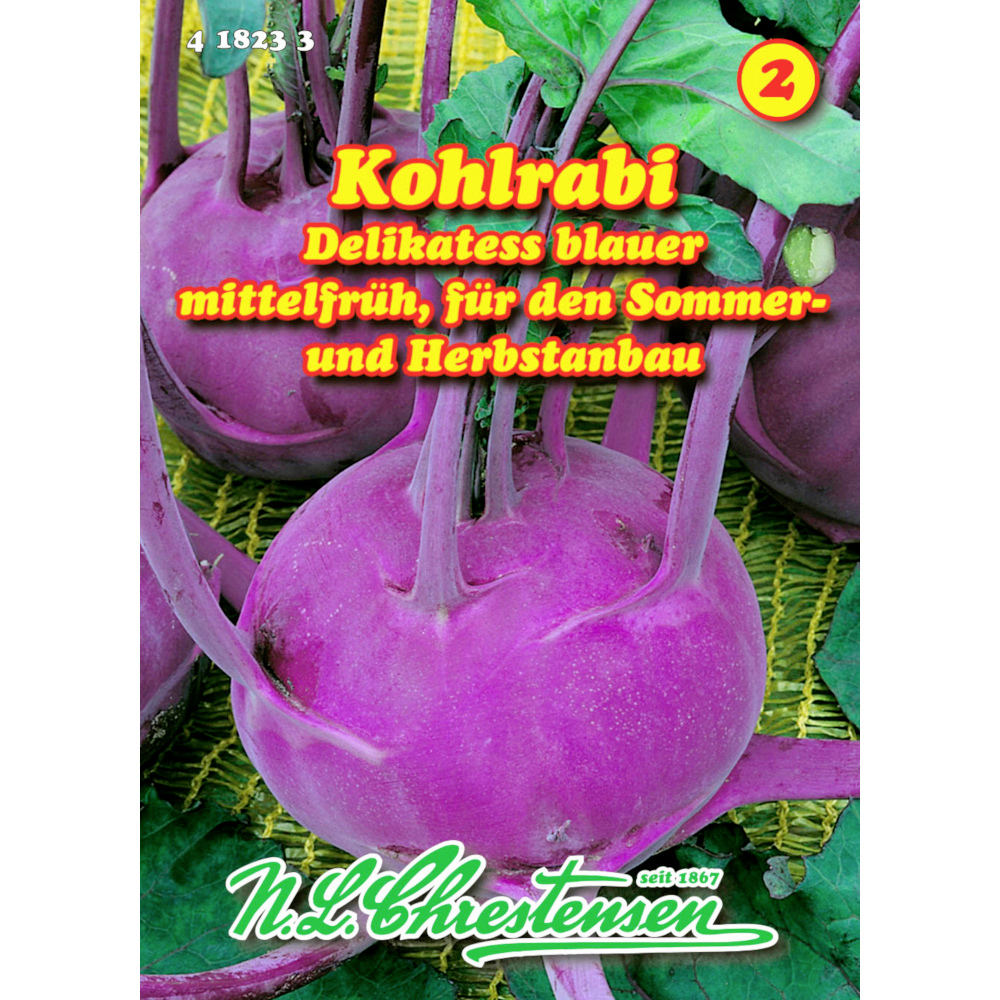 Saatgut Kohlrabi Delikatess ca. 120 Pflanzen blau image number 0