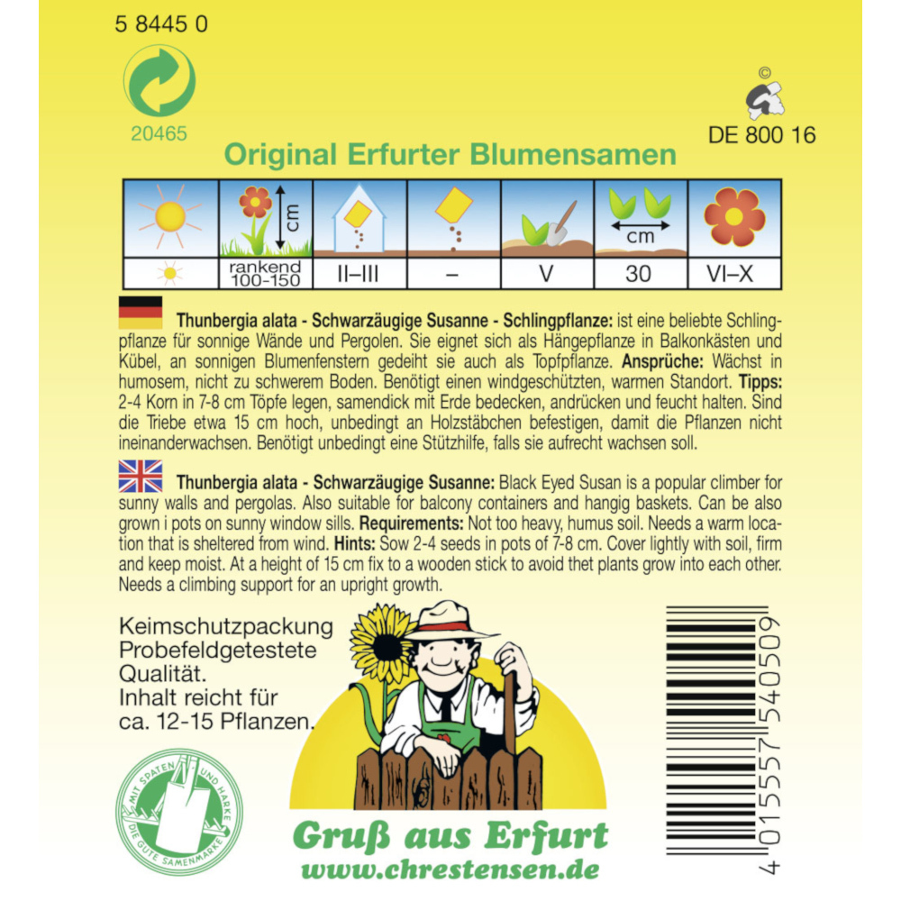 Saatgut Schwarzäugige Susanne ca. 12-15 lfd. Meter image number 1