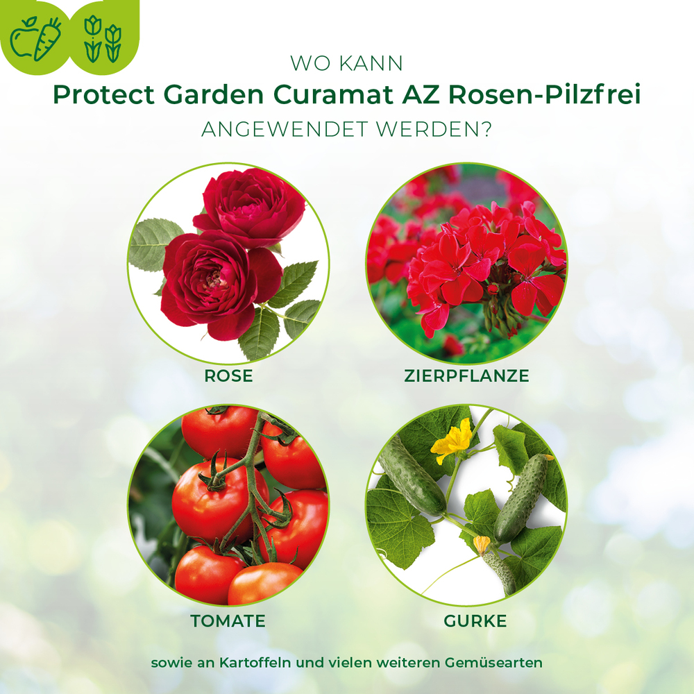 Protect Garden Curamat AZ Rosen-Pilzfrei 15 ml image number 4