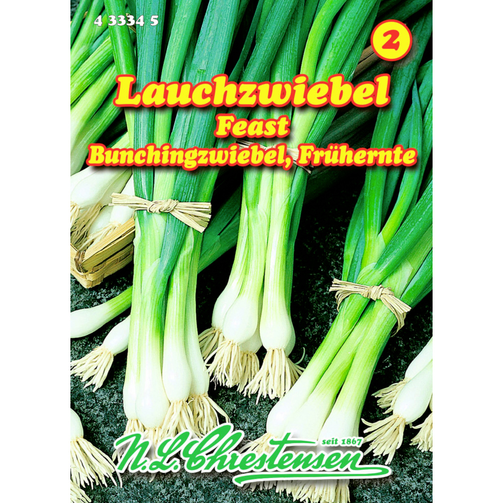 Saatgut Lauchzwiebel Feast ca. 3 laufende Meter image number 0