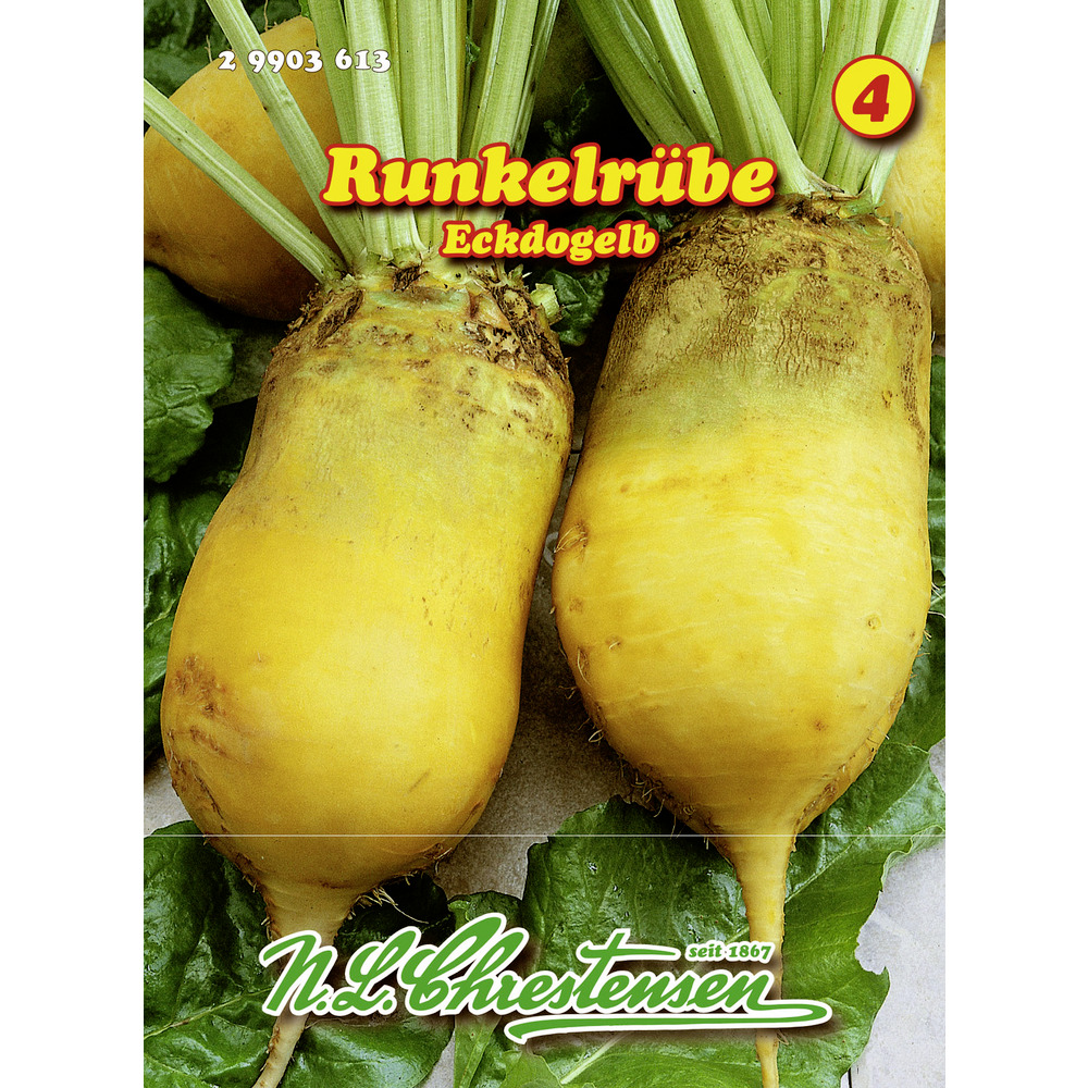 Saatgut Runkelrübe Eckdogelb ca. 600 Pflanzen image number 0