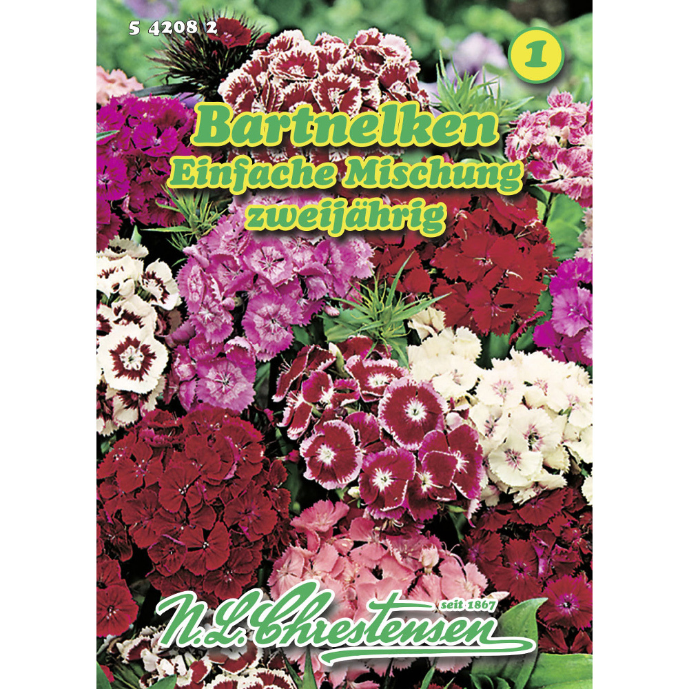 Saatgut Bartnelken ca. 250 Pflanzen image number 0