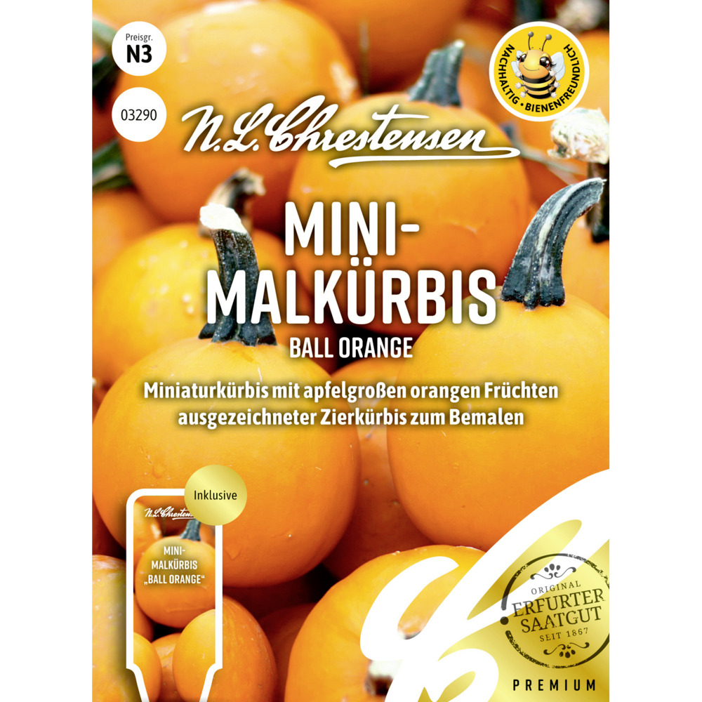Saatgut Mini Malkürbis Ball Orange image number 0