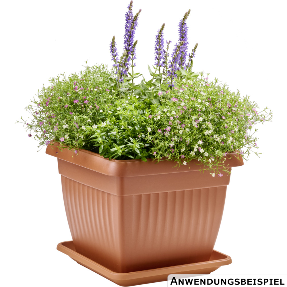 Prosperplast Blumentopf Terra eckig 30 x 30 cm in Terracotta image number 1