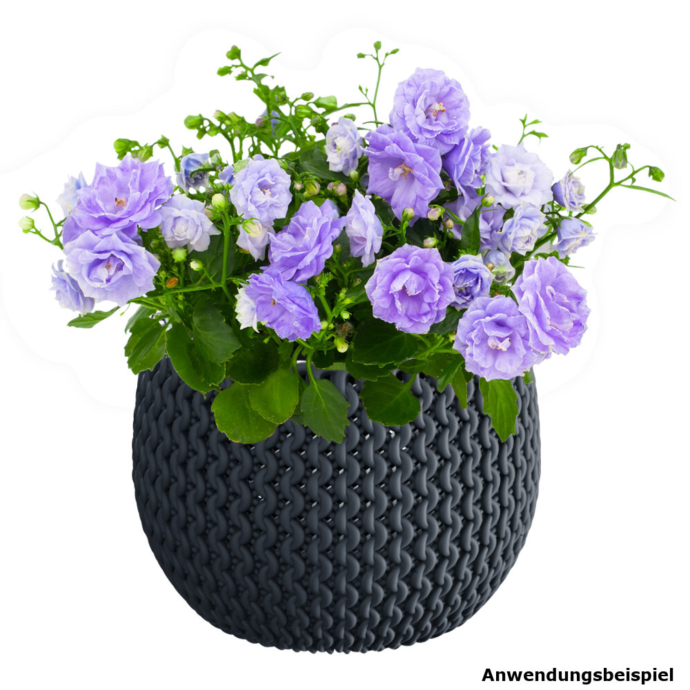Prosperplast Blumentopf Splofy Bowl Ø 29 cm mit Einsatz in Anthrazit image number 1