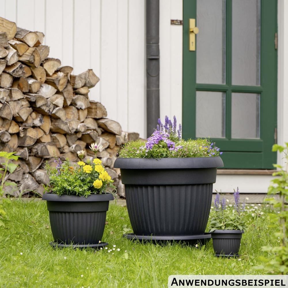 Prosperplast Untersetzer Terra rund Ø 54 cm in Anthrazit image number 2