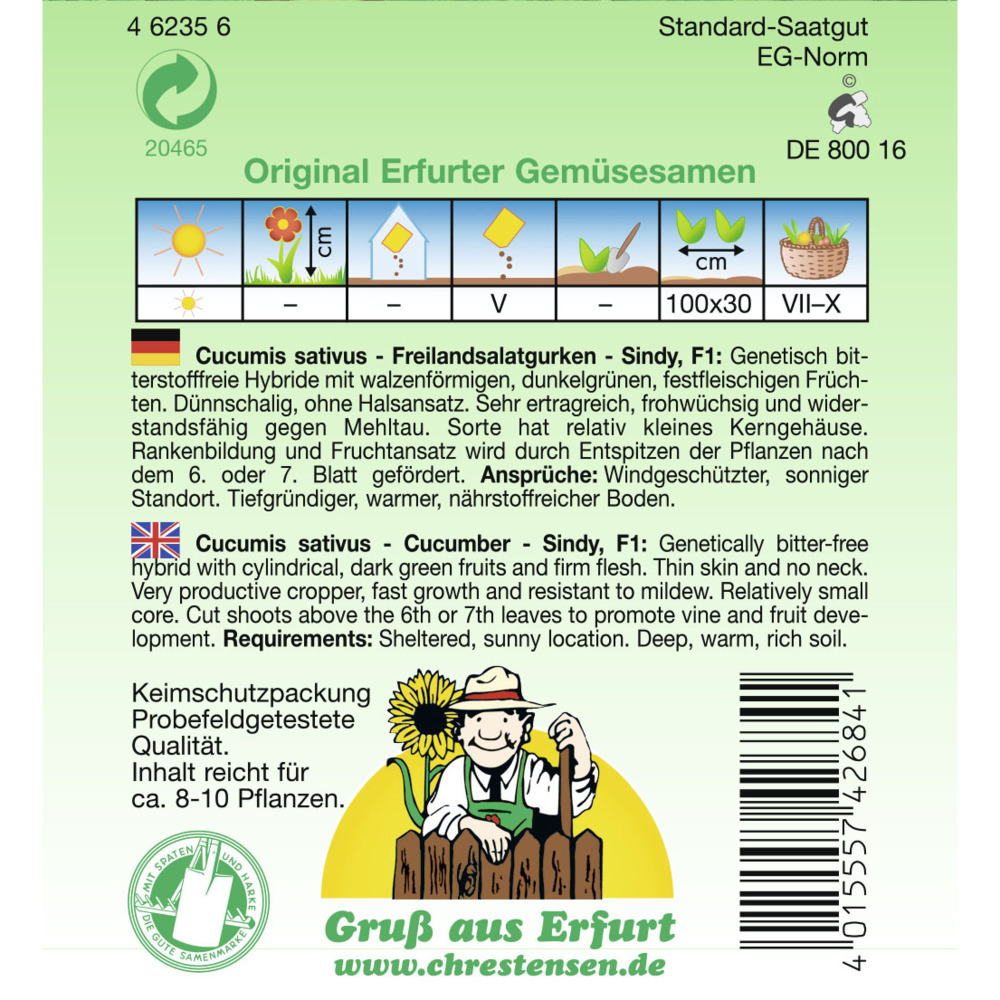 Saatgut Freilandsalatgurke Sindy ca. 8-10 Pflanzen image number 1