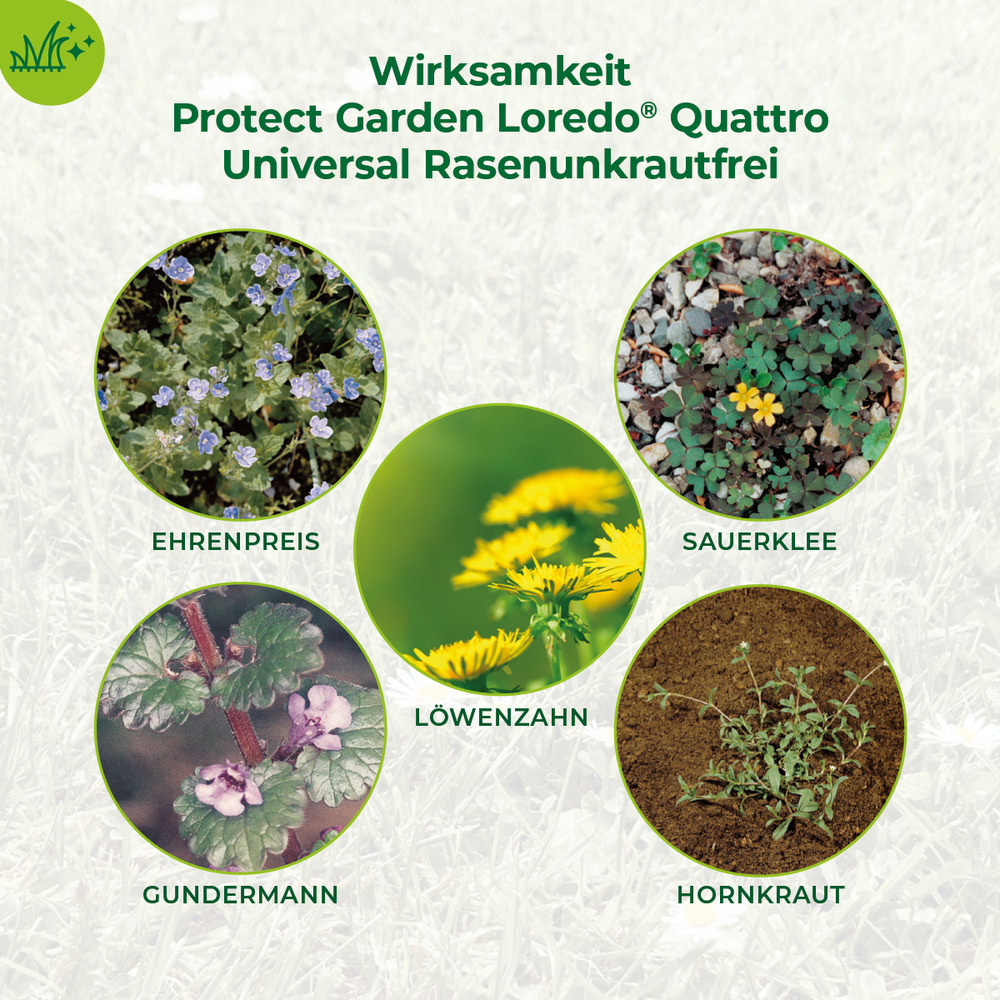  Protect Garden® Loredo® Quattro Universal-Rasenunkrautfrei 400 ml image number 3