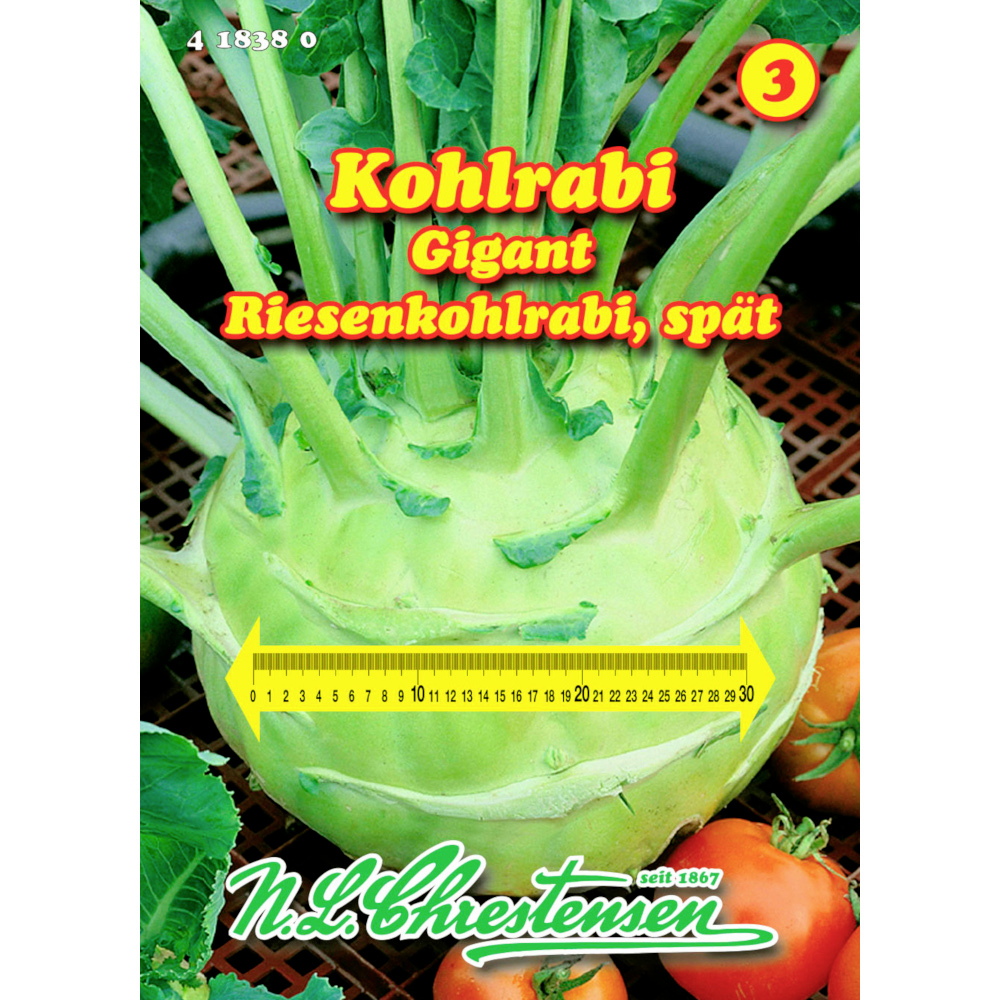 Saatgut Kohlrabi Giant weiß ca. 60 Pflanzen image number 0
