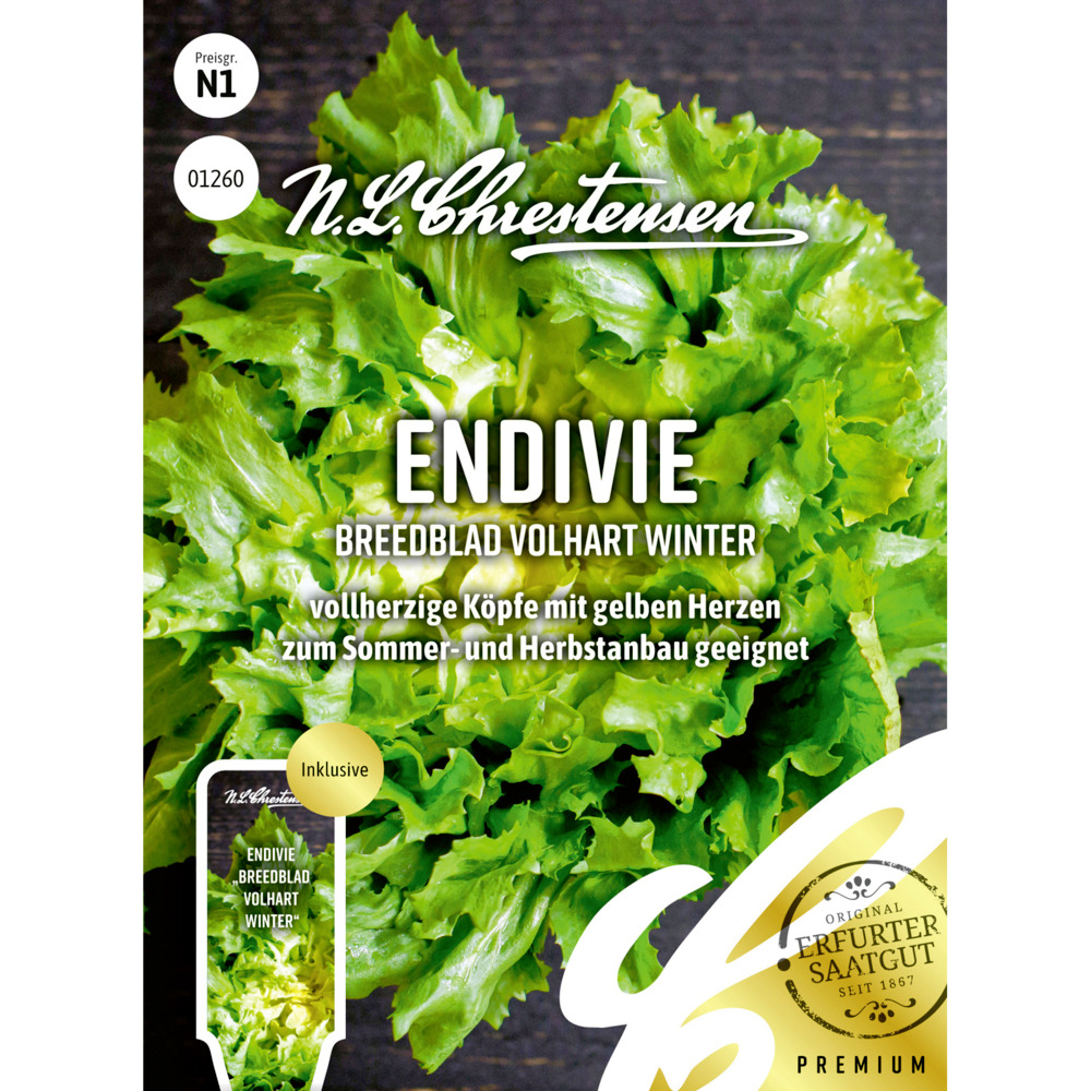 Saatgut Endivie Breedblad Volhart image number 0