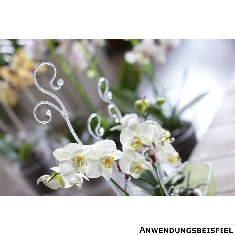 Prosperplast Orchideenstab Deluxe in Farbauswahl image number 2