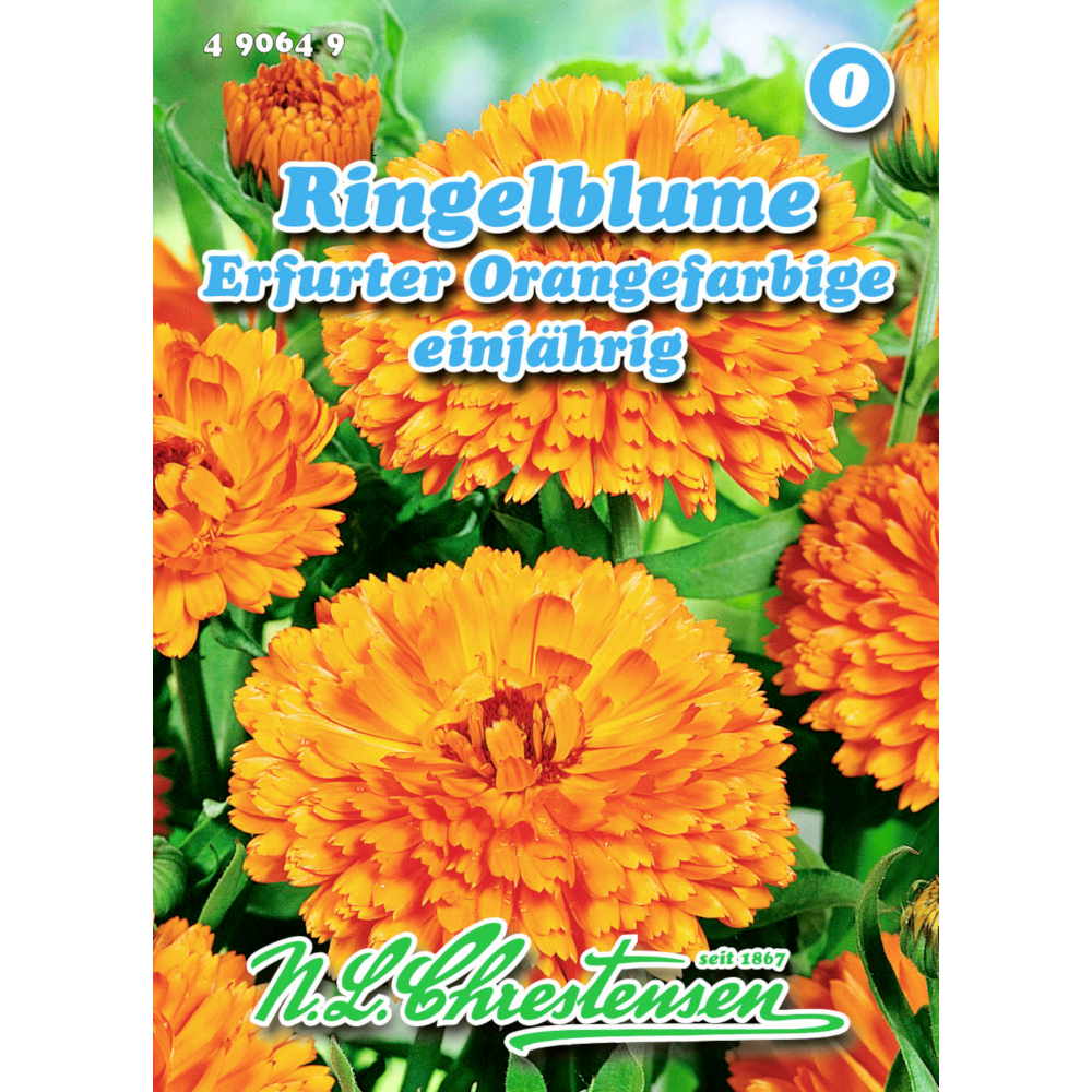 Saatgut Ringelblume Erfurter ca. 80 Pflanzen orange image number 0