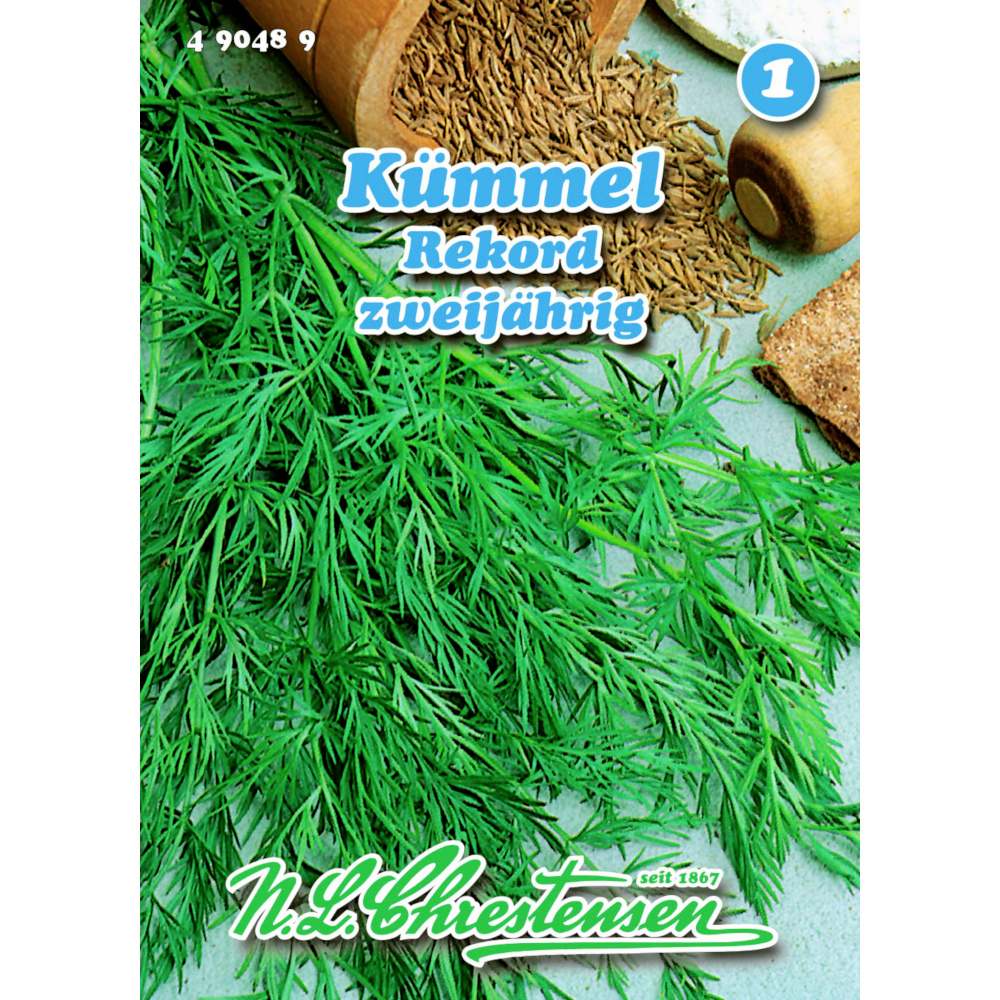 Saatgut Kümmel Rekord ca. 6-8 laufende Meter image number 0