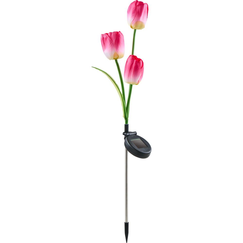 Solar-LED-Tulpe
