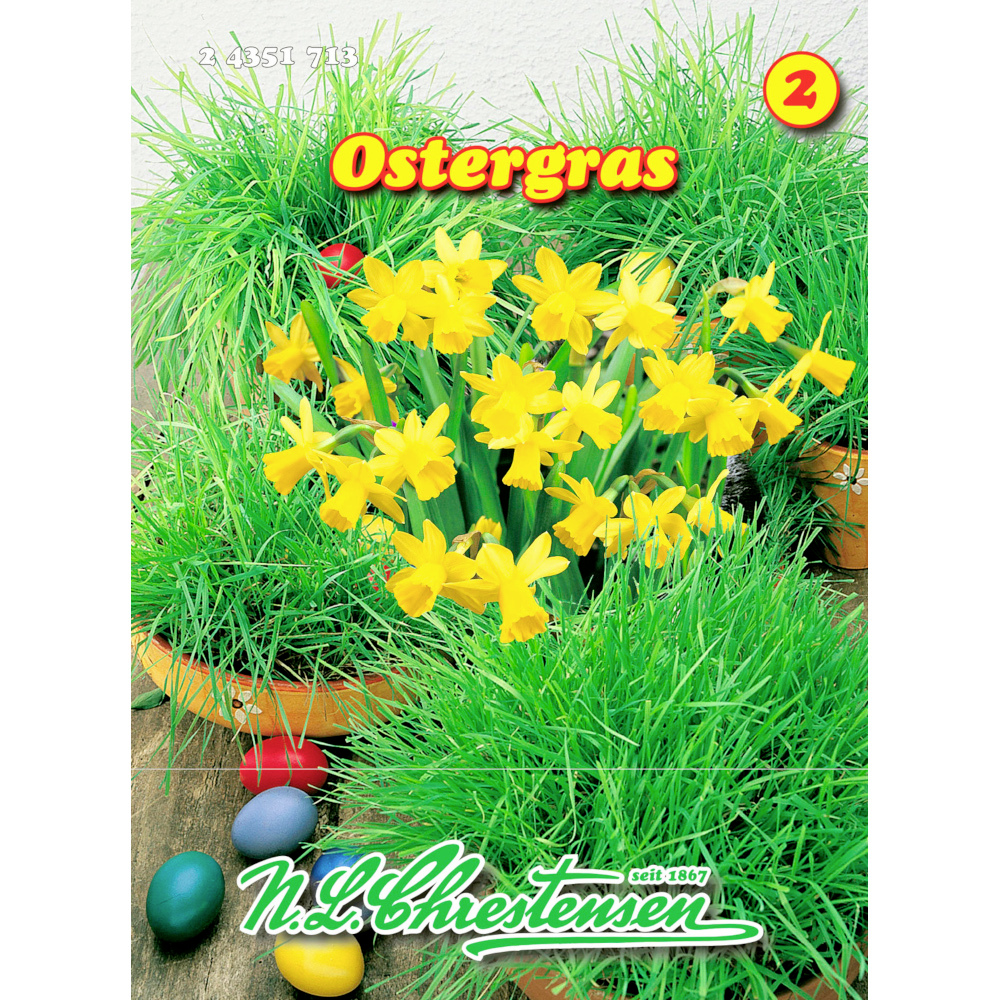 Saatgut Ostergras ca. 1 m² image number 0