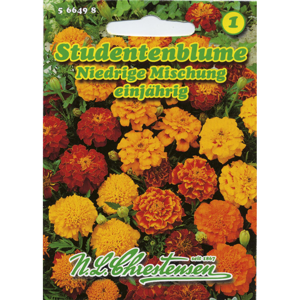 Saatgut Studentenblume Mix ca. 60 Pflanzen image number 0