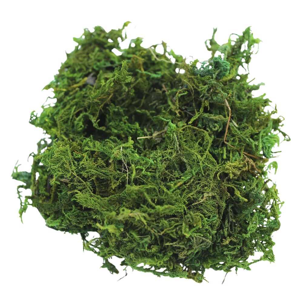 Finnlandmoos 35 g in Gr&uuml;n