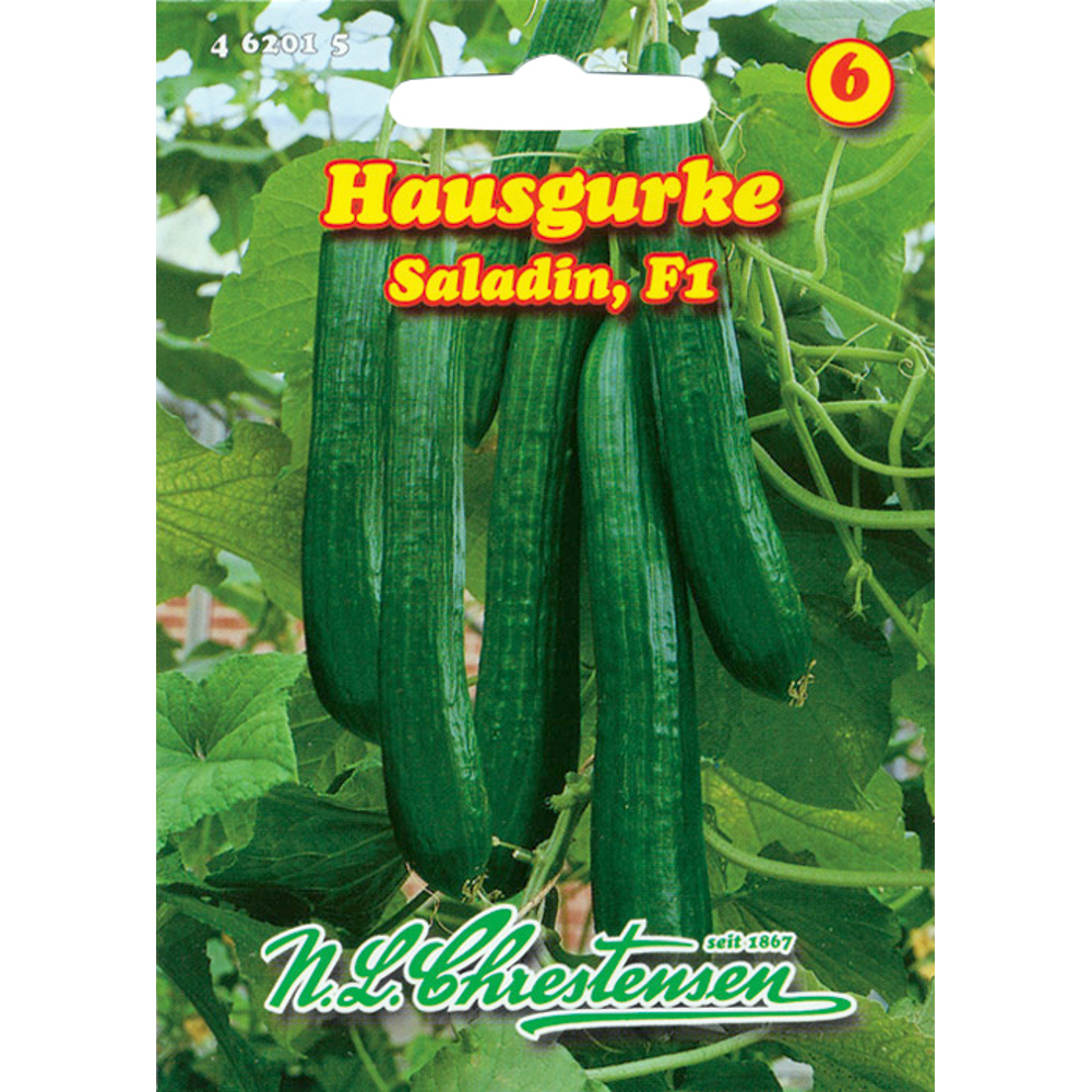 Saatgut Hausgurke Saladin ca. 10 Pflanzen image number 0