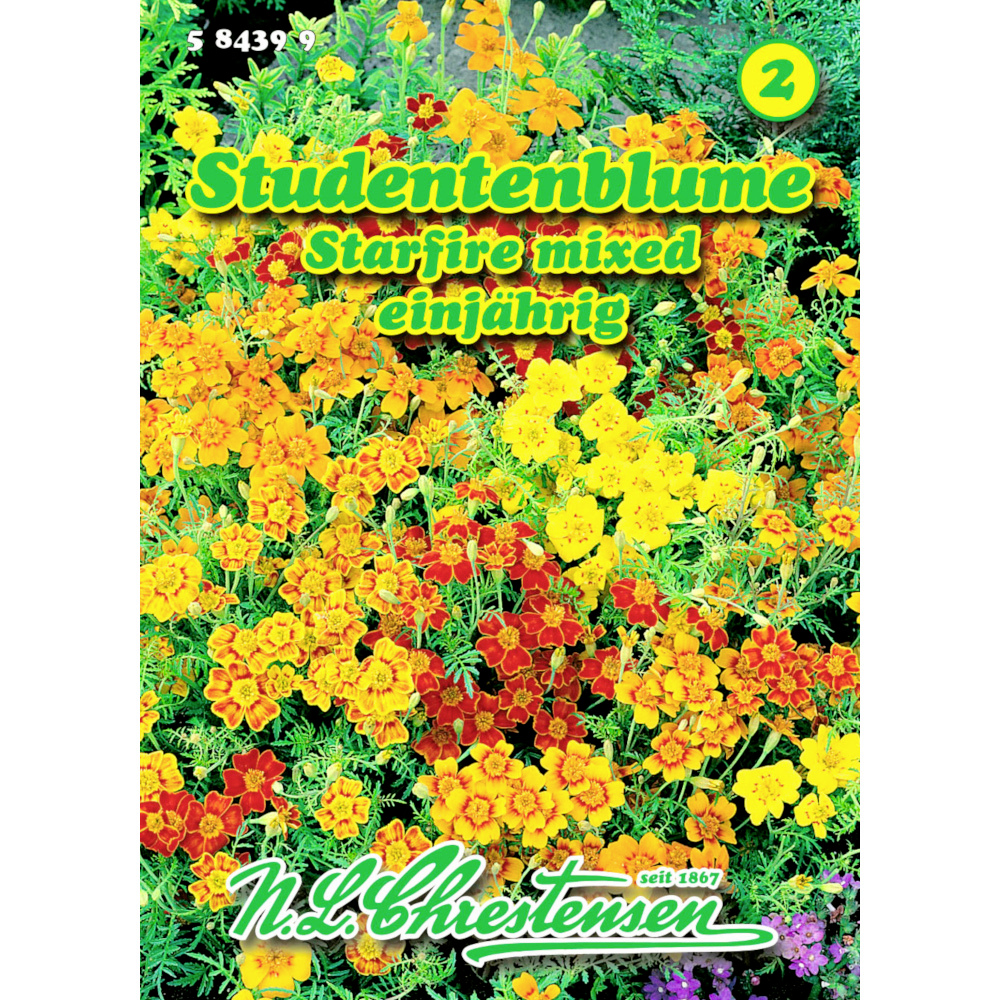 Saatgut Studentenblume Starfire-Mix ca. 45 Pflanzen