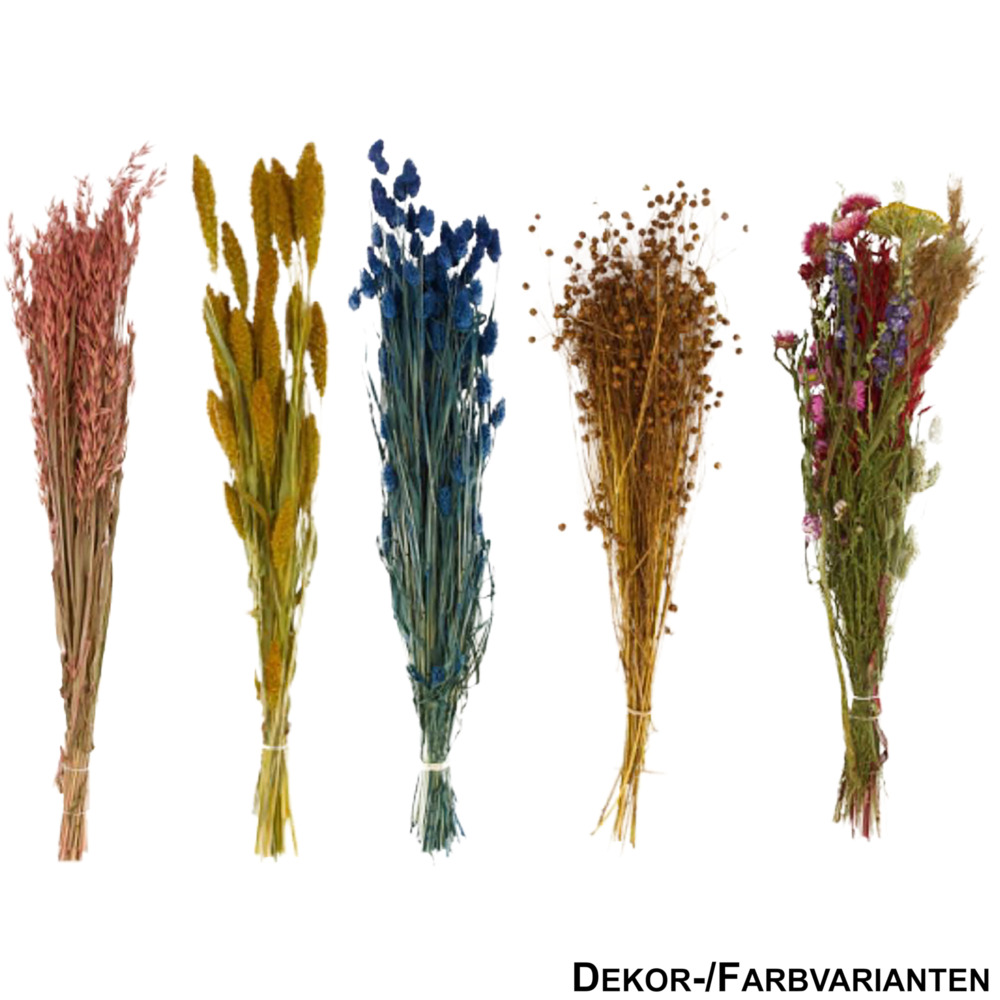 Getrocknete Blumensträuße 60 - 90 cm, sortiert