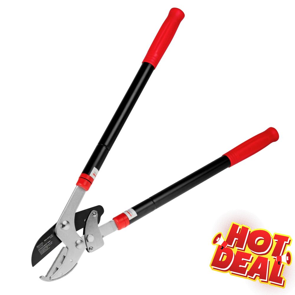 WALTER Getriebe-Astschere mit Teleskopfunktion