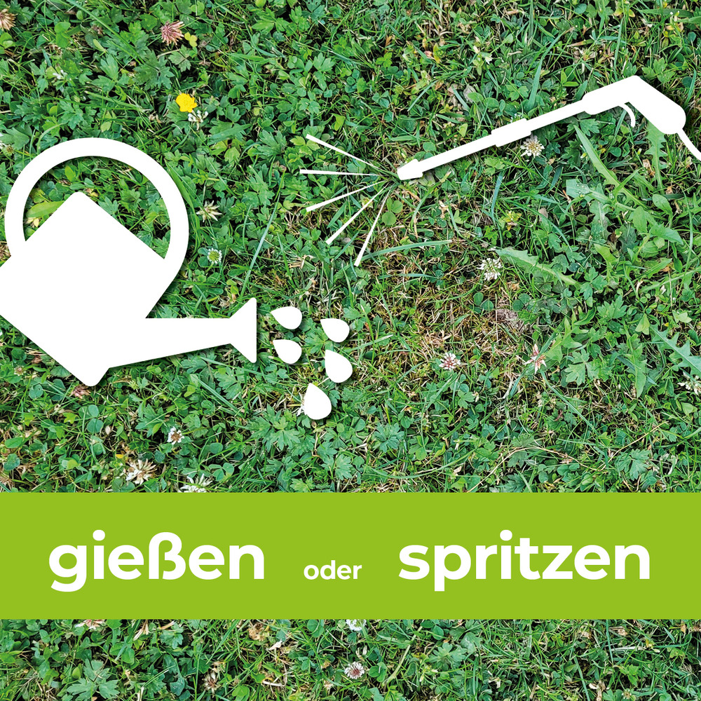  Protect Garden® Loredo® Quattro Universal-Rasenunkrautfrei 400 ml image number 4