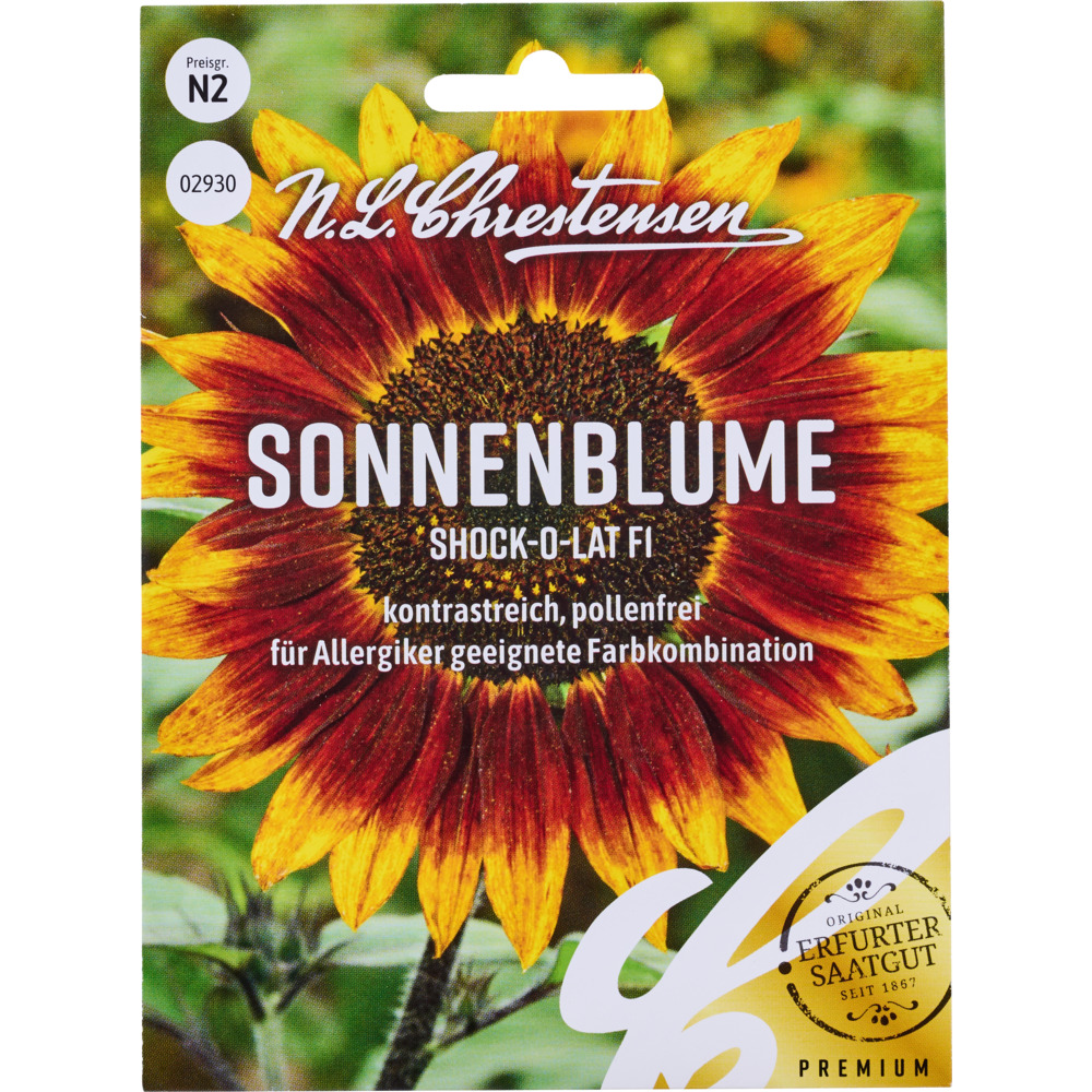 Saatgut Sonnenblume Shock-o-lat F1 image number 0